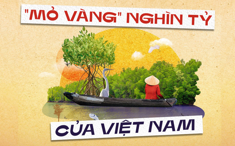 MỘT KHO BÁU CỦA TP.HCM SẼ THU RÒNG 1.500 TỶ MỖI NĂM? CHUYÊN GIA: PHẢI ĐO LƯỜNG LỖ HAY LÃI ĐÃ!